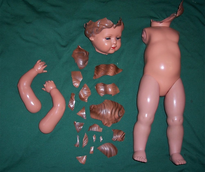 Schildkröt Erika Vorher