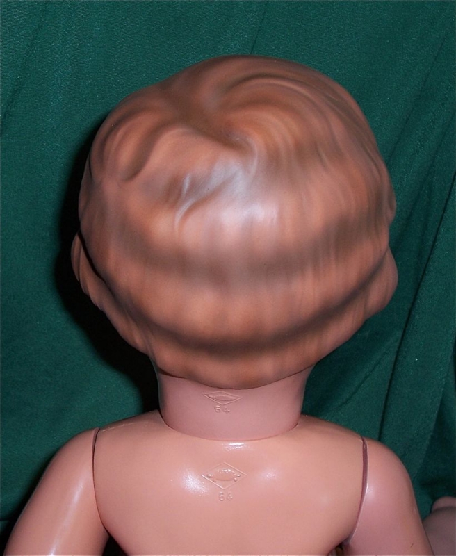 Schildkröt Erika nachher